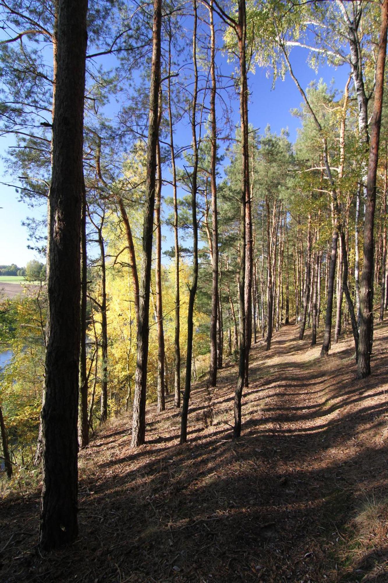 Osada Osjaków Exteriör bild